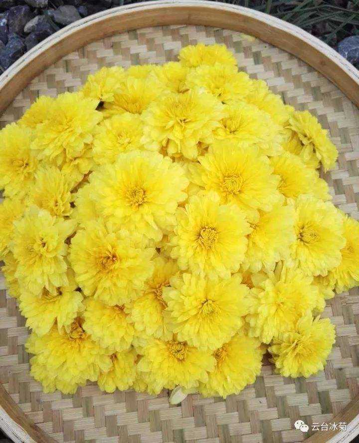 [焦作旅游] 三选一路线：冰菊小镇 - 云台古镇 - 圆通寺