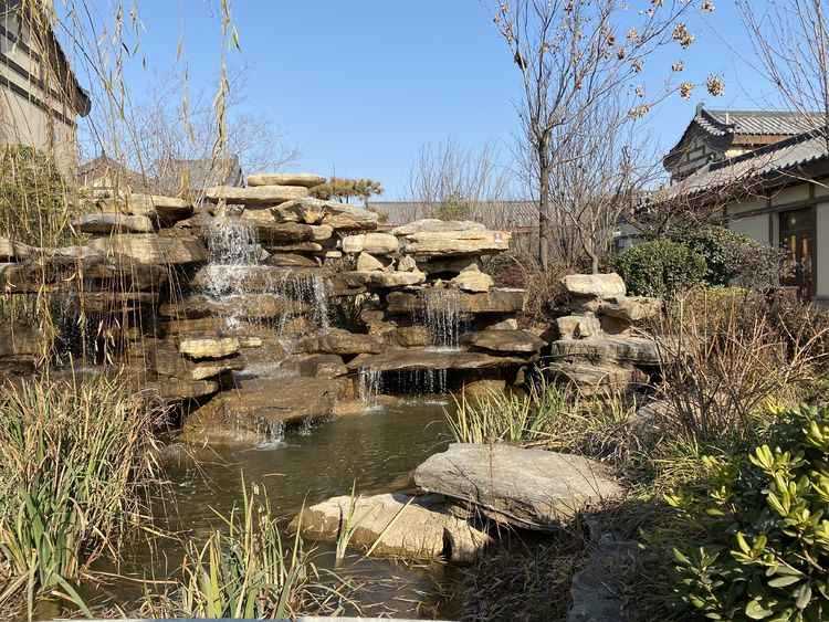 [焦作旅游] 三选一路线：冰菊小镇 - 云台古镇 - 圆通寺