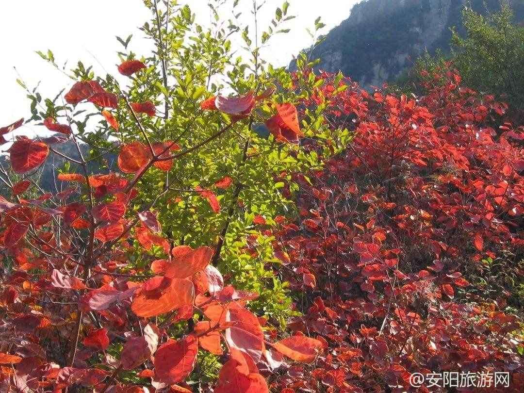 [林州旅游] 白云山～玉皇顶～刘家古城堡一日游
