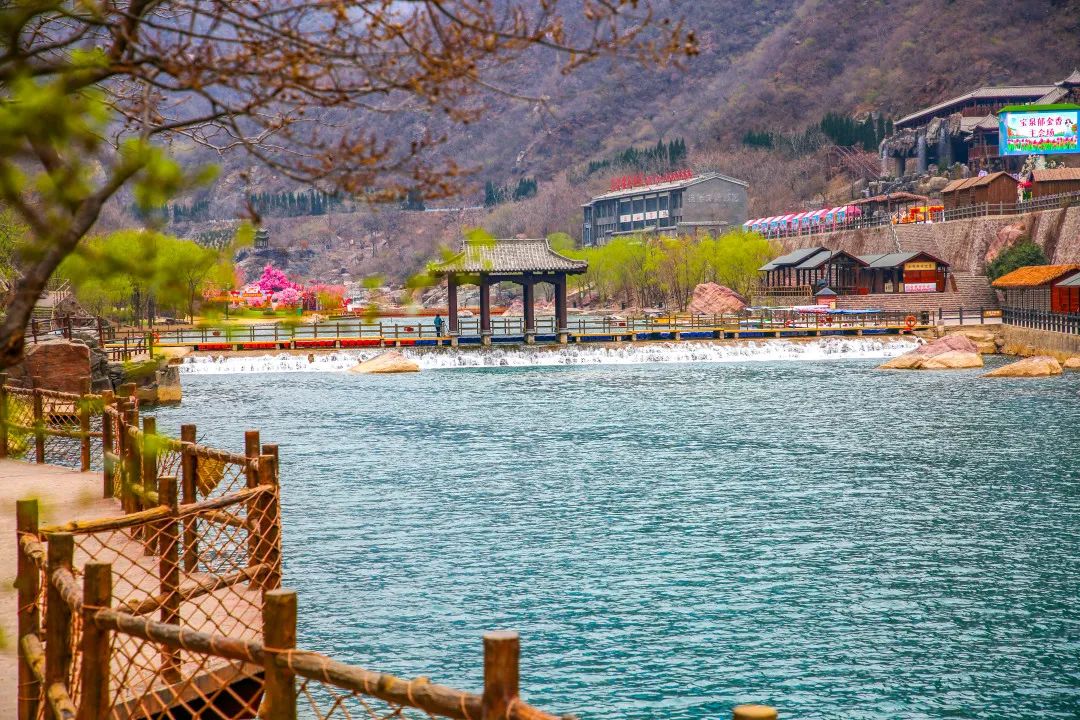 [新乡旅游] 春天的第一片花海，宝泉山水+赏郁金香花海一日游