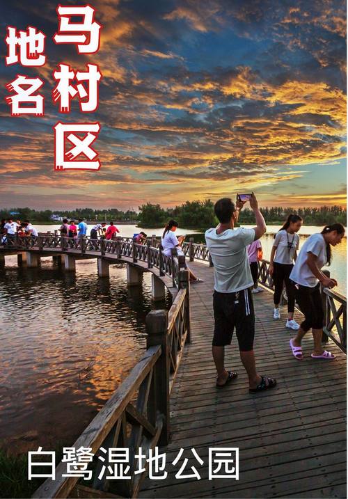 [焦作旅游]  焦作白鹭湿地一日游