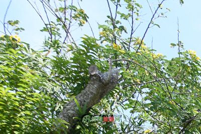 滩小关遗址景点介绍