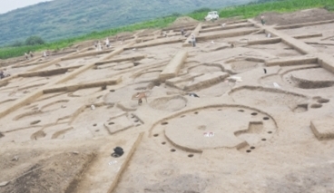 老张庄遗址景点介绍