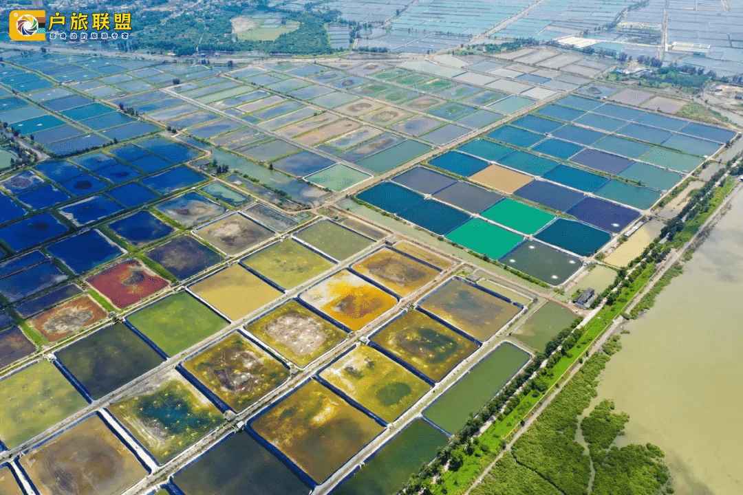 仅51分钟高铁直达防城港！这座被低估的海边小城，隐藏着4元糖水的美味，仿佛置身异国他乡