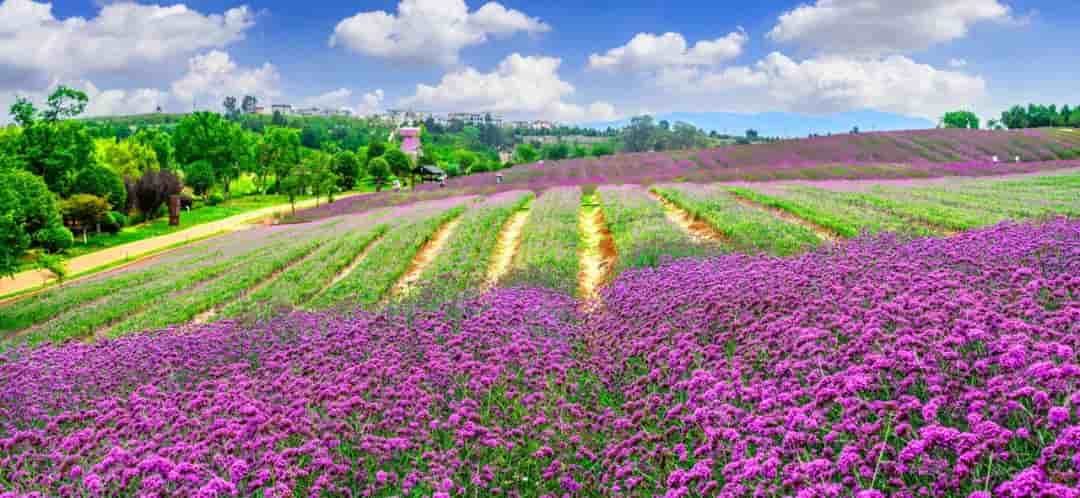 暖冬之选：22℃的悠然之地，不逊昆明之逸，人少景美过大理！物价宛如十年前，养老胜地非它莫属！