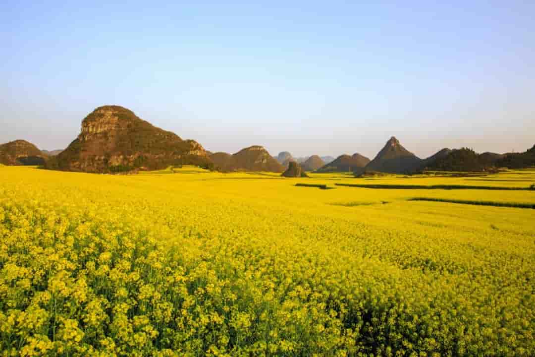 难以置信！未来数月的云南，竟展现如此风貌！都市人的理想疗愈目的地！