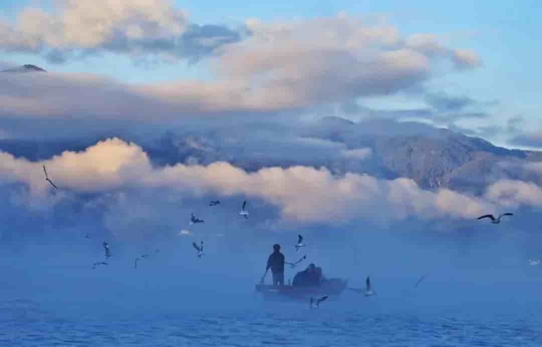 难以置信！未来数月的云南，竟展现如此风貌！都市人的理想疗愈目的地！