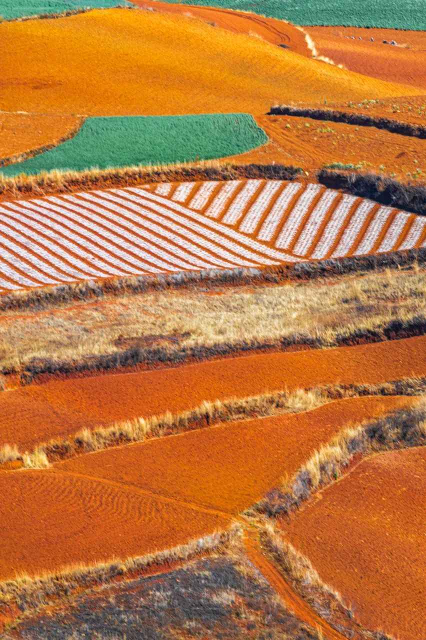 即将消失的六大奇观之地，一旦错过成永恒，你曾探访过几处？