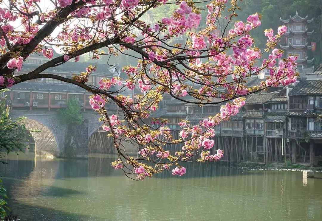 不愧是孤独星球力荐的秘境，难怪韩国人这么喜欢！还有仙剑里的古镇，与丽江齐名！