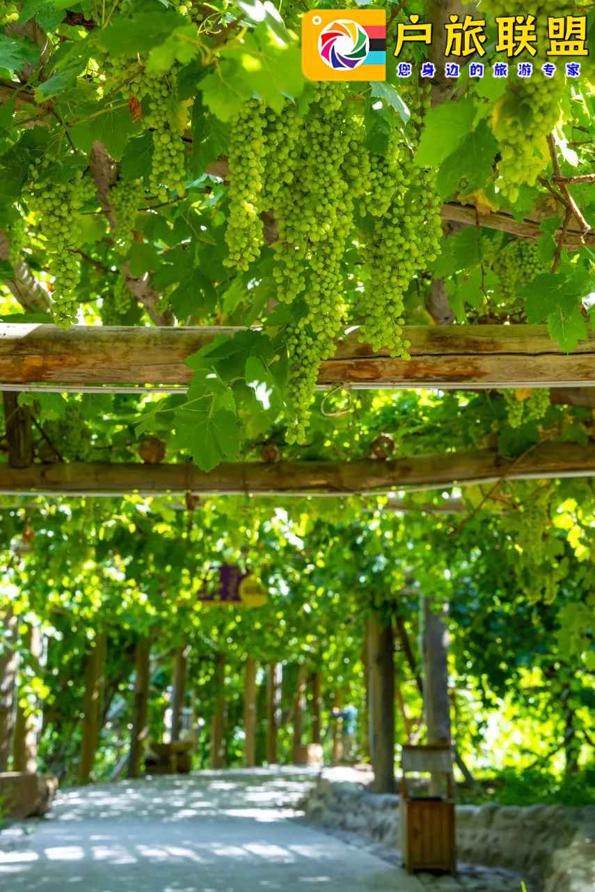 超适合慢游的西域老城，2元1个哈密瓜，20元1斤牛羊肉，房价仅2000元，物价低到离谱