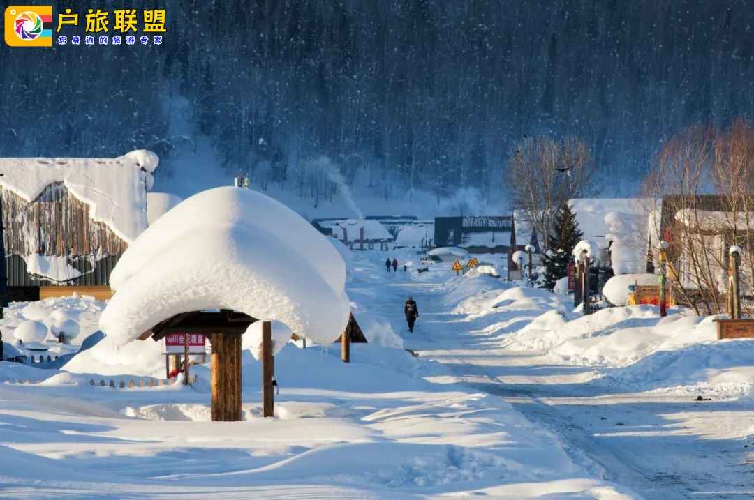 收藏！这才是1月最值得去的绝美目的地，好玩不费劲，0套路，开启2025第一场旅行！