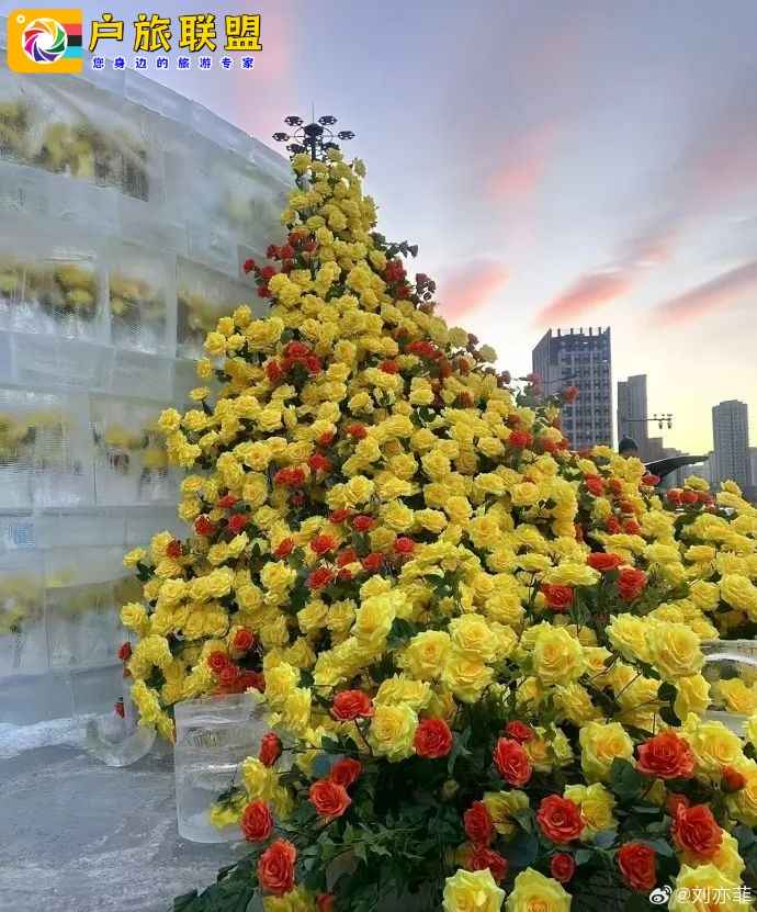 刘亦菲发文想要去的地方！曾比肩上海，浪漫不输巴黎，每年却有12w人“逃离”