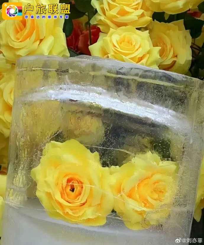 刘亦菲发文想要去的地方！曾比肩上海，浪漫不输巴黎，每年却有12w人“逃离”