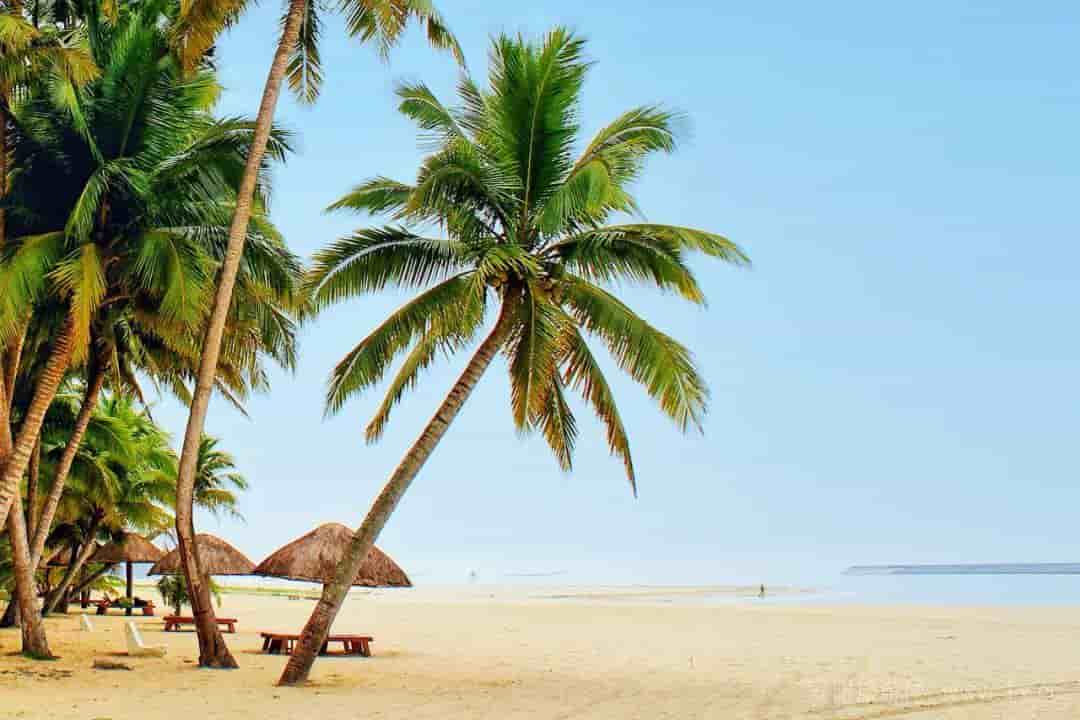 中国最温暖的6座城市，冬天均温20℃+，生活也太舒服了，每座都暖到让你忘穿秋裤！