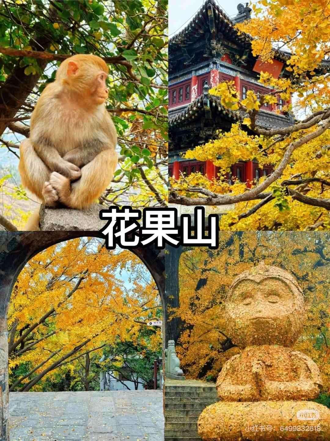 [水韵江苏] 5A瘦西湖+5A花果山+4A荷兰花海+4A西溪古镇+扬州东关老街超值4日游