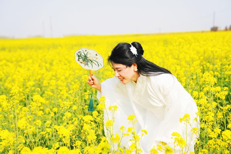 [特价旅游] 金沙河花田一日游，赠送午餐+赠送礼品