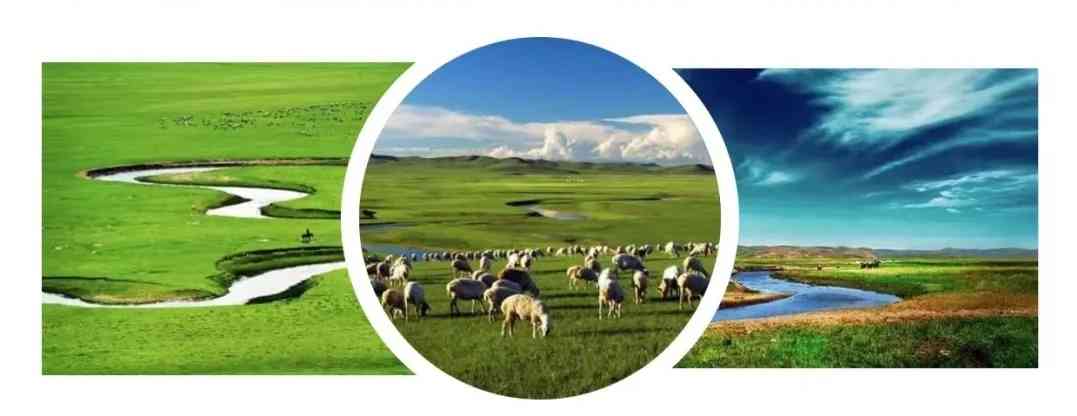 [草原之恋] 丰宁坝上+锡林郭勒+张北三大草原品质三日游（独家赠送越野车、草原漂流、大型马术、篝火晚会等）