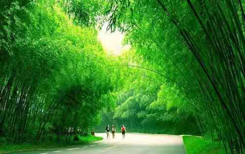 [洛阳双景] 5A老君山+5A重渡沟两日游