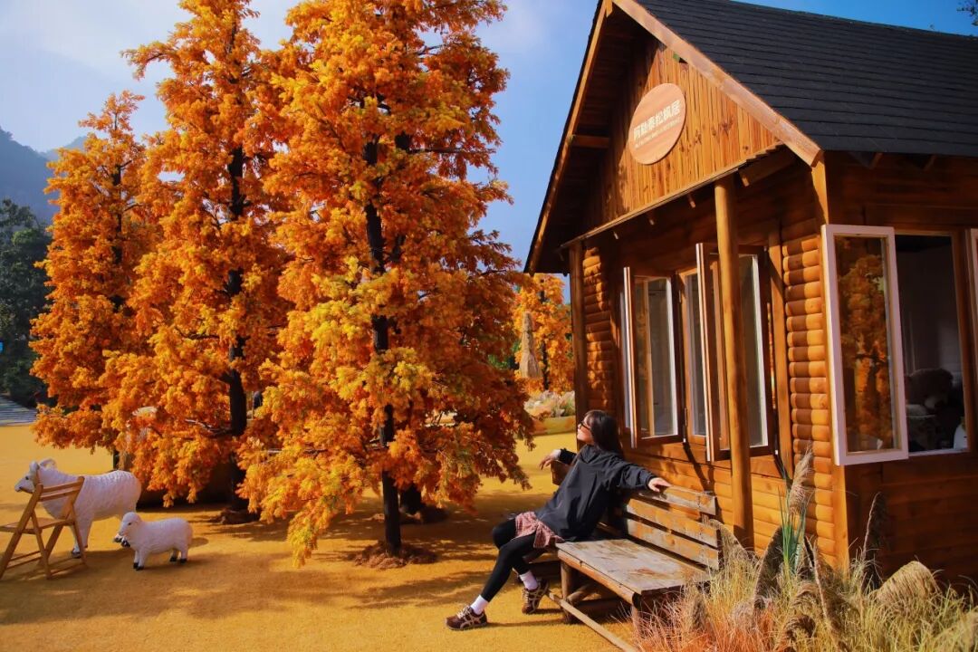 [休闲旅游] 宝泉大峡谷跟团一日游，一不小心闯进秋日大美宝泉，真的太好拍啦！