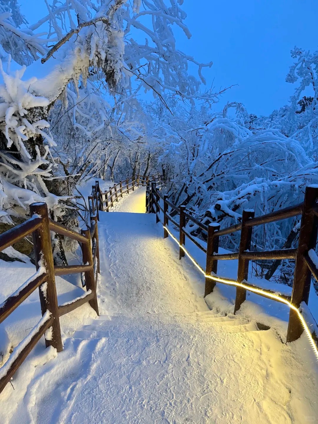 ❄️雪季已至，老君山即将迎来它的封神季节❗_2_旅行定制师-阿湛_来自小红书网页版.jpg