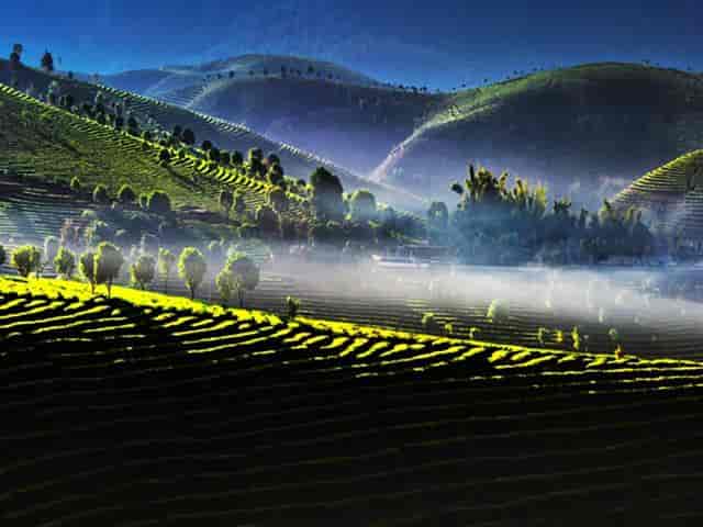 [王牌版纳] 爆款双飞云南—普洱—版纳六日游