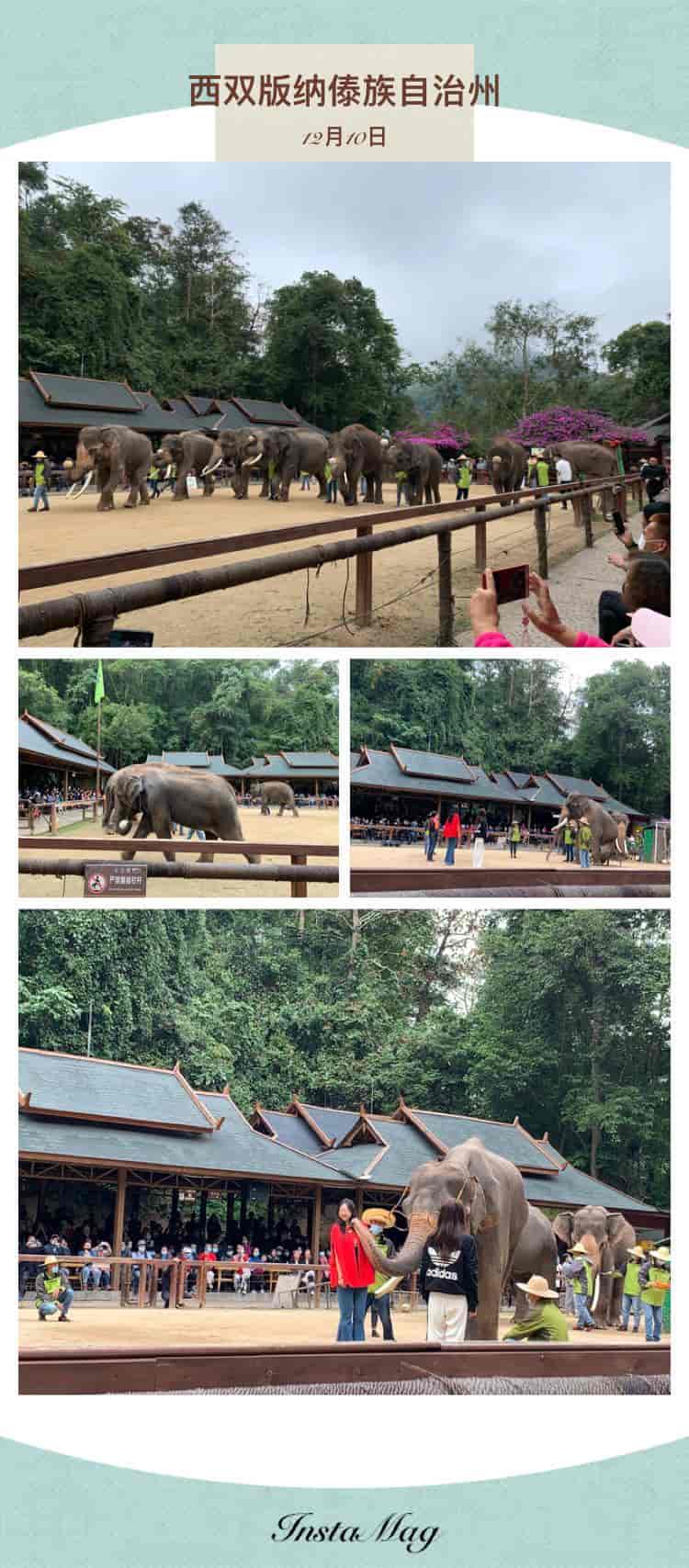 [王牌版纳] 爆款双飞云南—普洱—版纳六日游