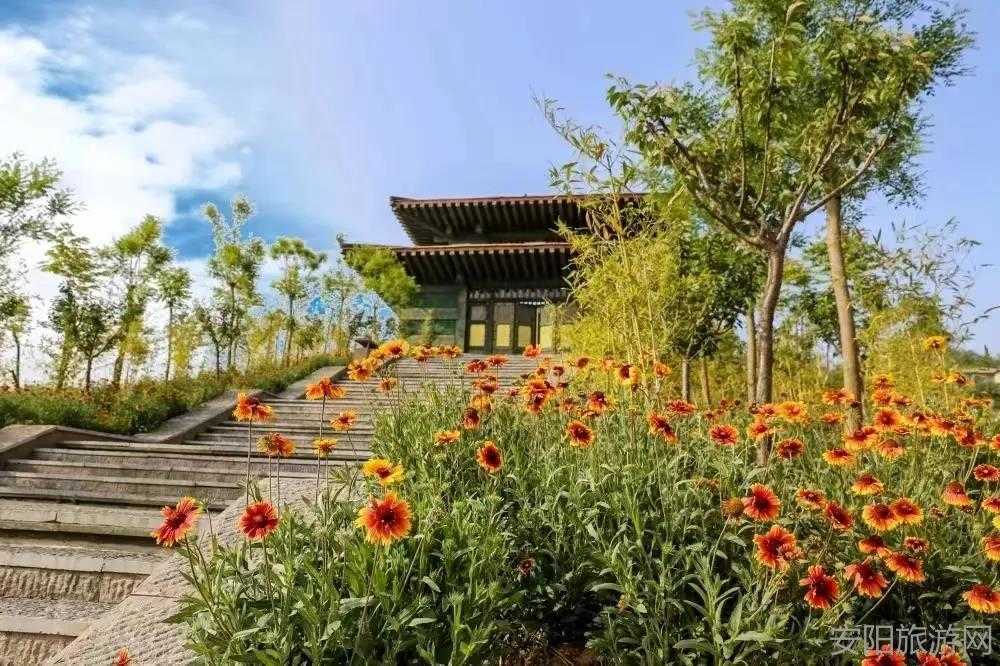 [林州旅游] 万泉湖免门票，白＋黑一日游