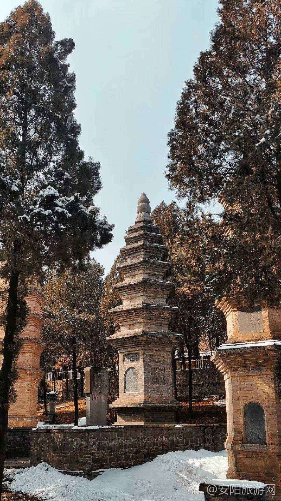 [郑州旅游] 国家5A名胜少林寺免门票啦~