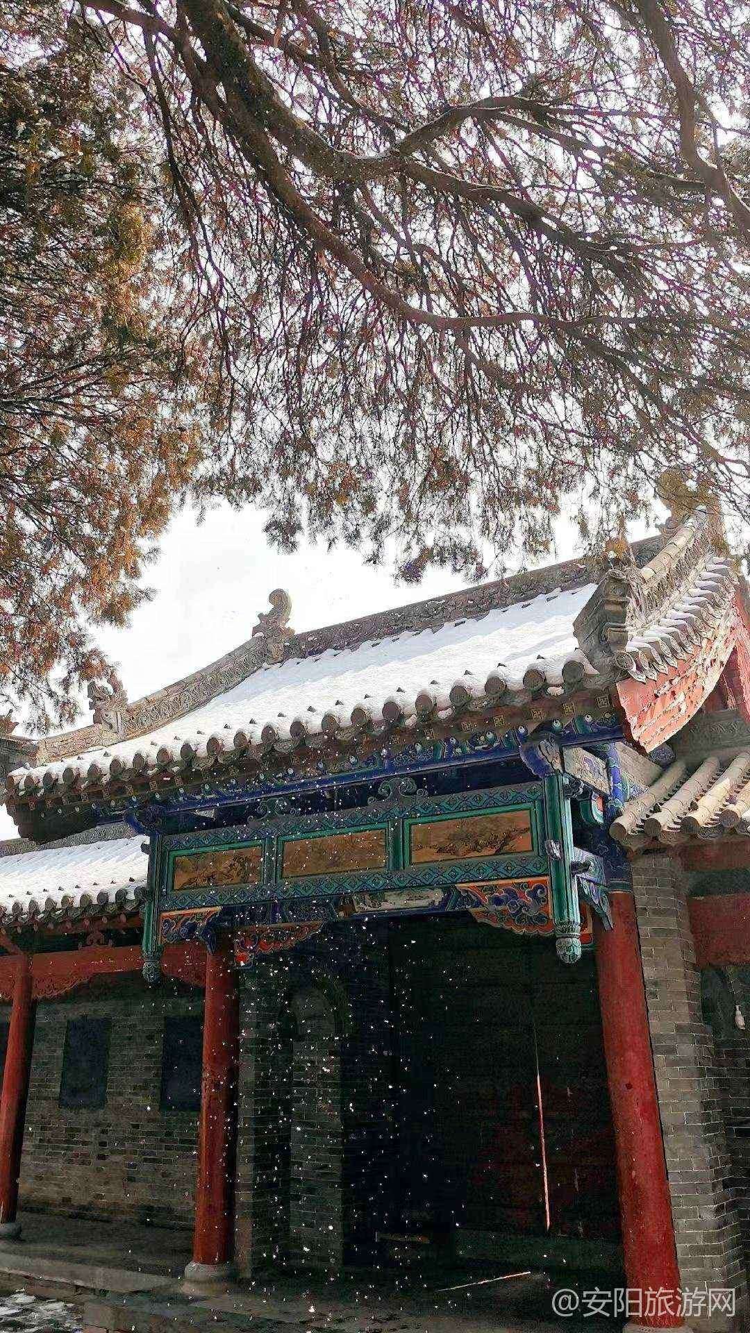 [郑州旅游] 国家5A名胜少林寺免门票啦~
