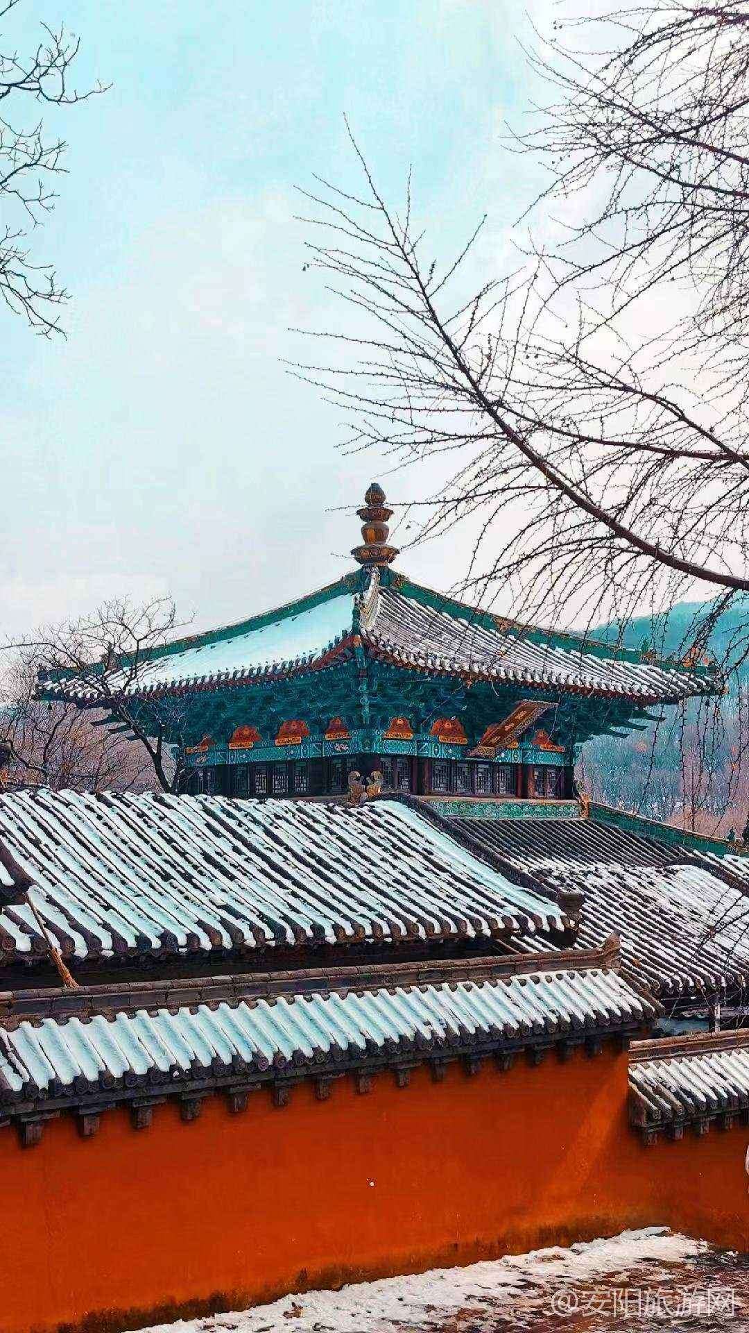 [郑州旅游] 国家5A名胜少林寺免门票啦~