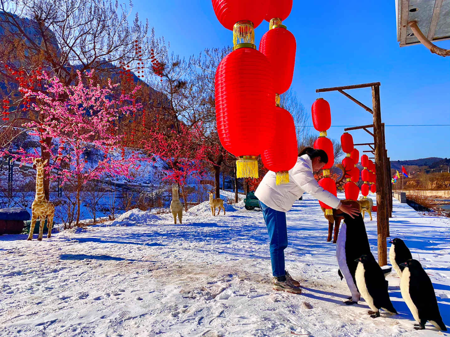 [邢台旅游] 天梯山景区冰雪乐园开启啦，逛溶洞，看美景，老少皆宜!