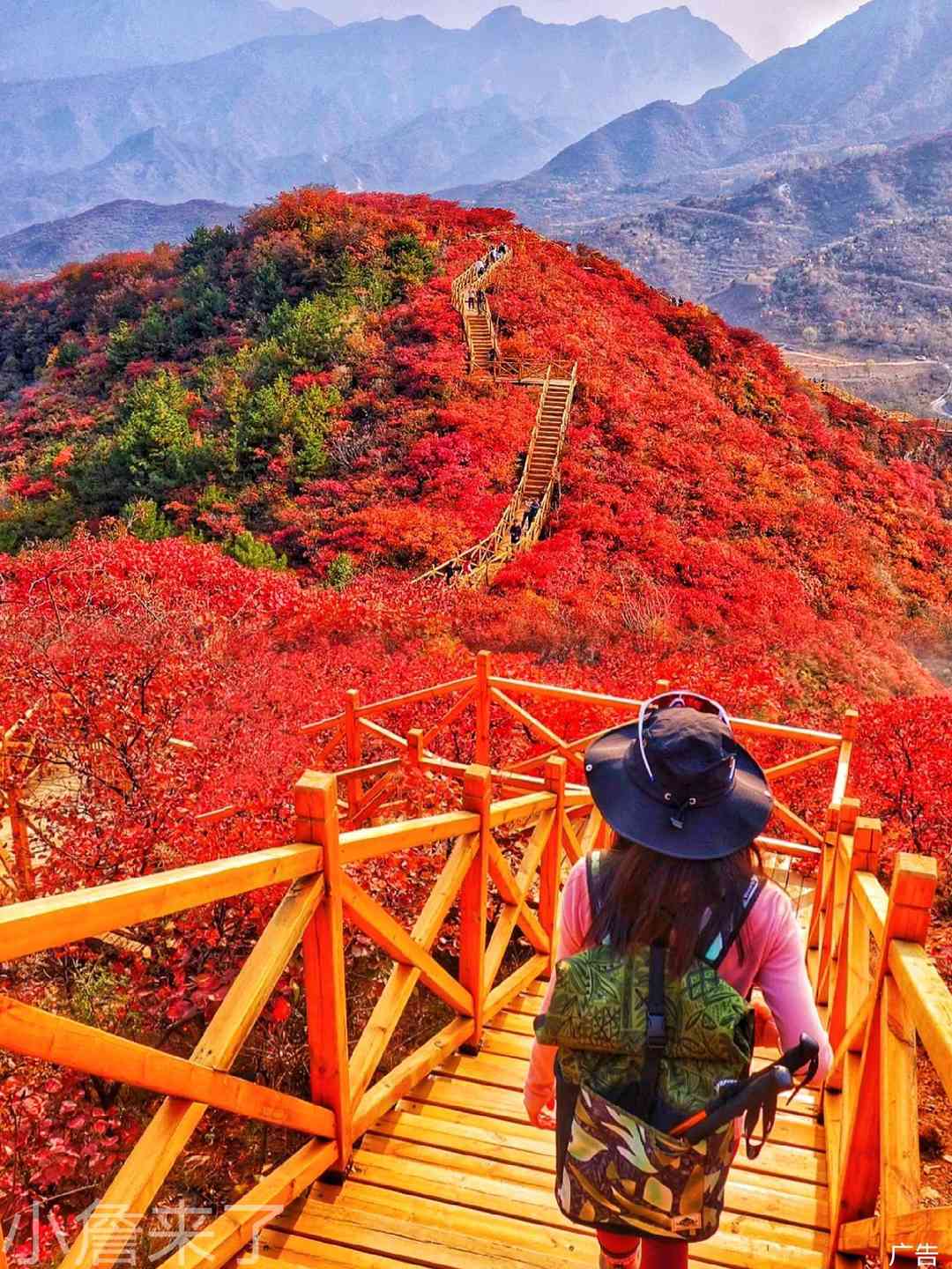 [涉县旅游] 太行五指山+网红大洼村一日游