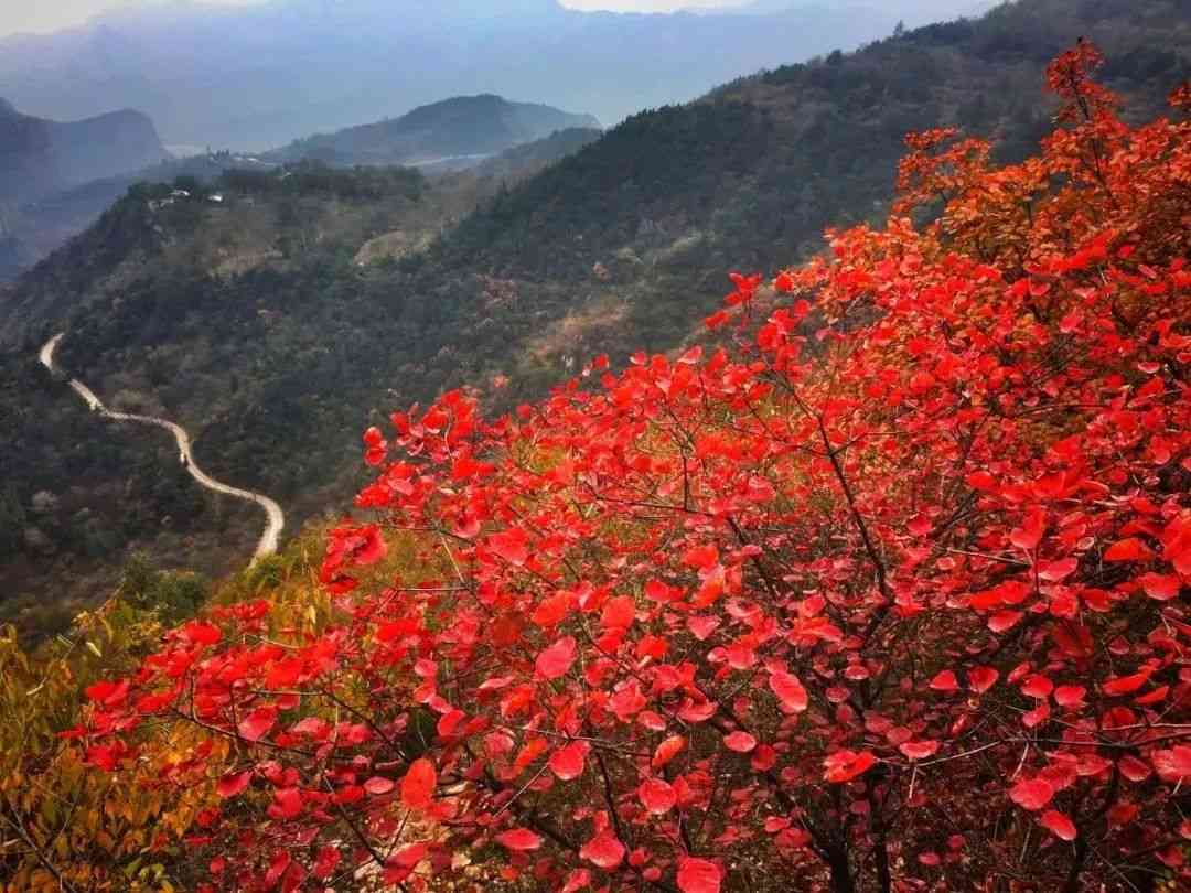 [游山玩水] 禹州大鸿寨红叶节+神垕古镇二日游，报名赠送豪礼