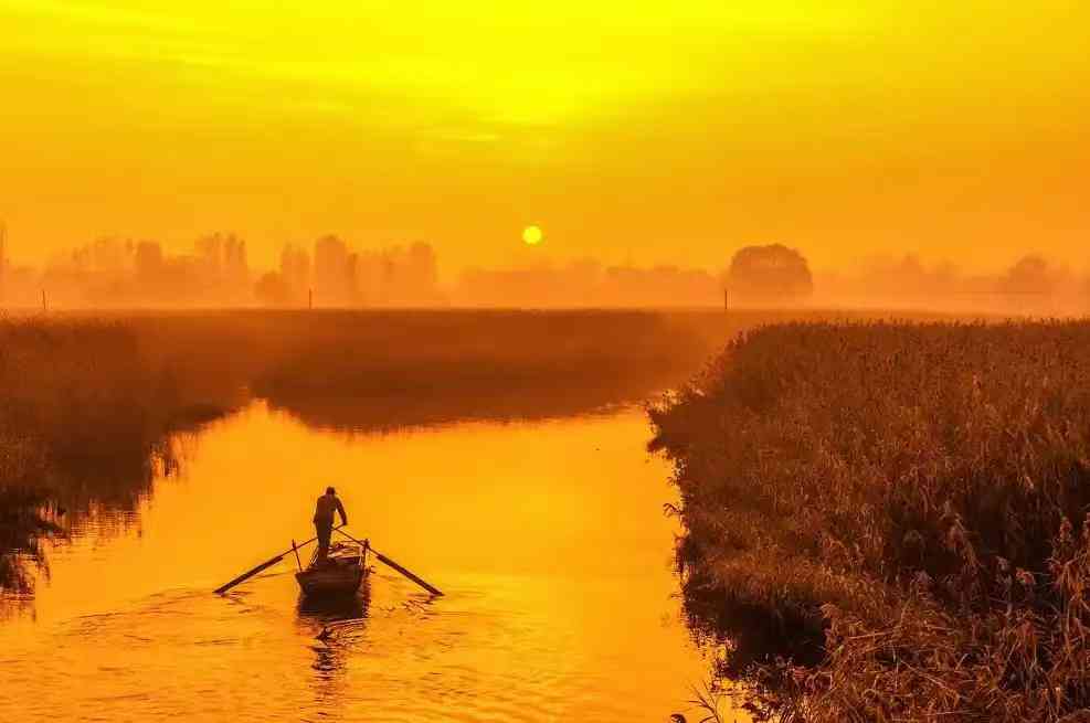 [特价旅游]  天津+白洋淀二日游，报名赠送智能手机一台